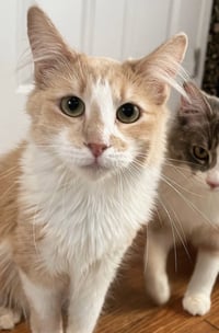 Tailor Swift - Photo 3