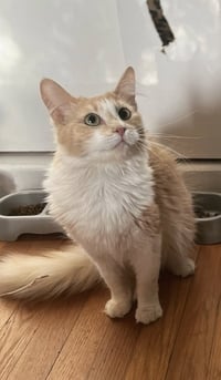 Tailor Swift - Photo 5