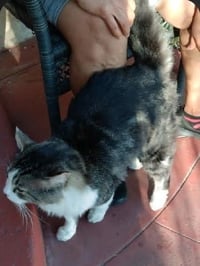 Wildflower - Photo 4