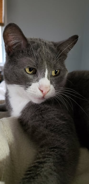 Eleanor Image