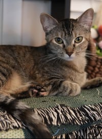 Thelma (and Louise) - Photo 4