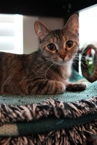 Thelma (and Louise) - Photo 3