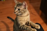 Thelma (and Louise) - Photo 4