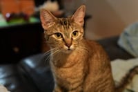 Thelma (and Louise) - Photo 5
