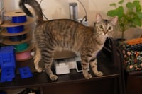 Thelma (and Louise) - Photo 3