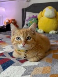 Holly - Photo 4