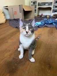 Luna Belle - Photo 6