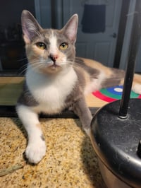 Luna Belle - Photo 8