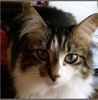 Darla - Photo 3
