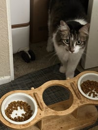 Darla - Photo 5