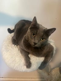 Tia - Photo 4