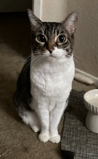 Audrey - Photo 1