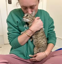 Kanga & Roo - Photo 3