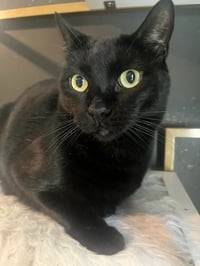 Otis - Photo 1