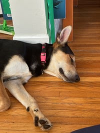 Sully - Photo 5