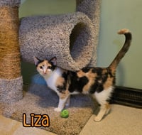 Liza - Photo 4