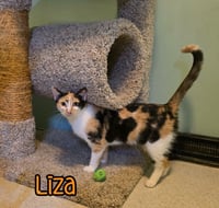 Liza - Photo 4