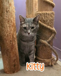 Kitty (Foreman) - Photo 3