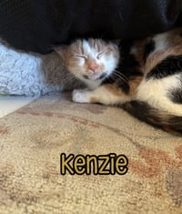 Kenzie - Photo 4