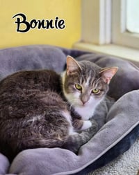 Bonnie - Photo 4