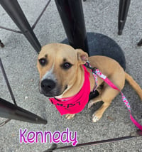 Kennedy - Photo 4