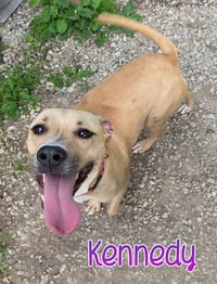 Kennedy - Photo 1