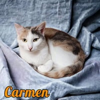 Carmen - Photo 3