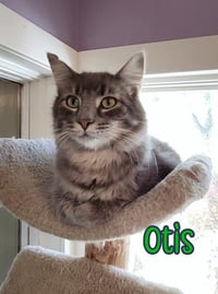 Otis (Bay Bridge #2) - Photo 1