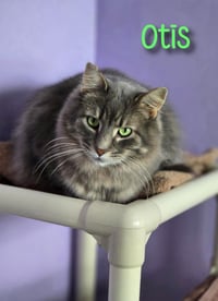 Otis (Bay Bridge #2) - Photo 4