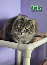 Otis (Bay Bridge #2) - Photo 4