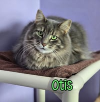 Otis (Bay Bridge #2) - Photo 3