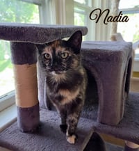 Nadia - Photo 3