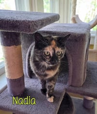 Nadia - Photo 4