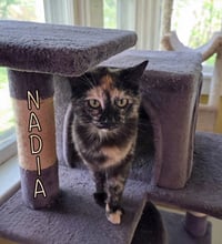 Nadia - Photo 1