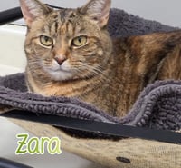 Zara - Photo 2