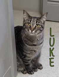 Luke - Photo 1