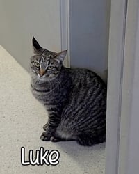 Luke - Photo 2