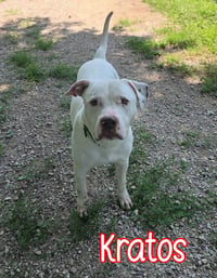 Kratos - Photo 2