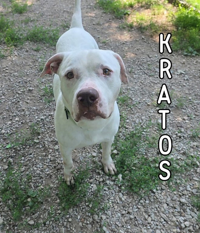 Kratos Image