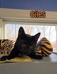 Giles - Photo 1