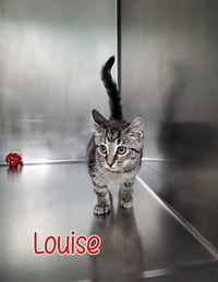 Louise - Photo 3