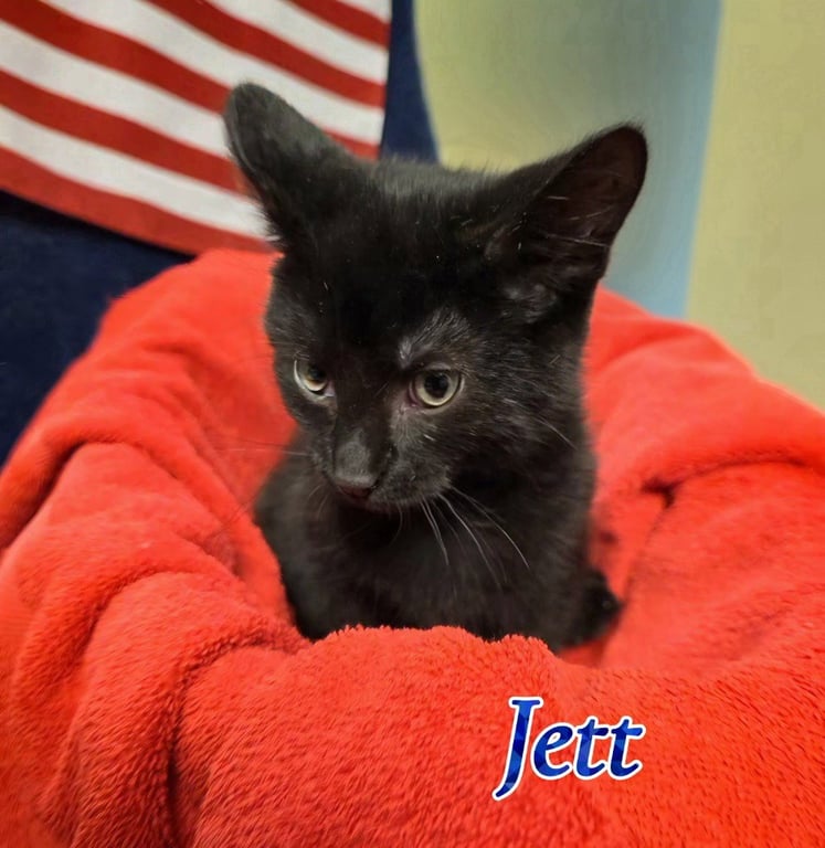 Jett Image