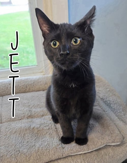 JETT