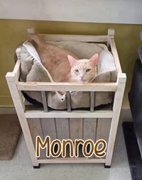 Monroe - Photo 2