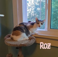 Roz - Photo 2