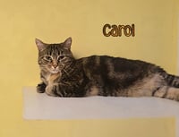 Carol - Photo 2