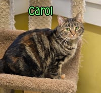Carol - Photo 3