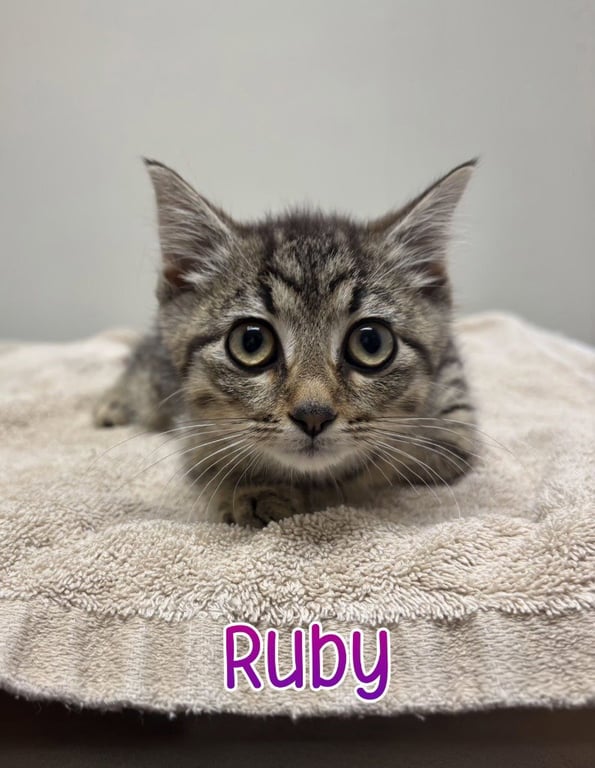 Ruby Image
