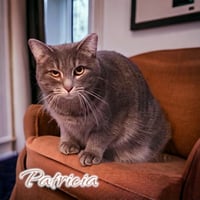 Patricia - Photo 4