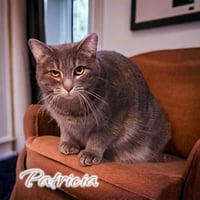 Patricia - Photo 4
